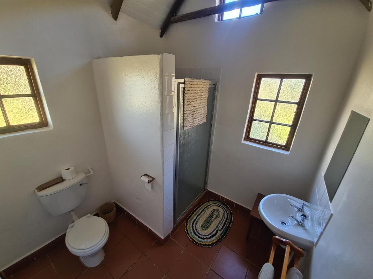 Tower Of Pizza Bed & Breakfast Ethels Drive Bagian luar foto