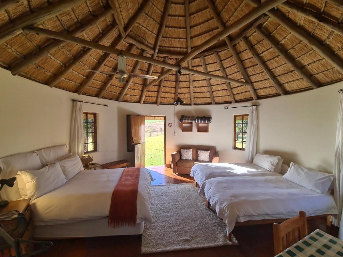Tower Of Pizza Bed & Breakfast Ethels Drive Bagian luar foto